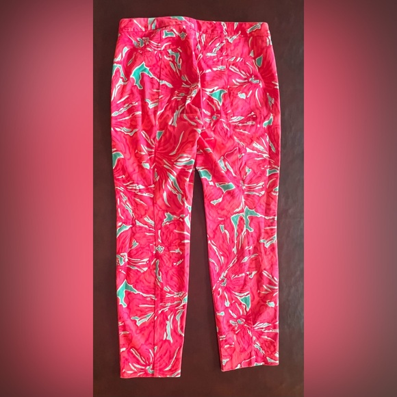 Lilly Pulitzer Kelly skinny Ankle Pant, size 10 - Picture 3 of 6